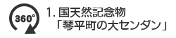 1. 国天然記念物「琴平町の大センダン」