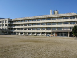 琴平小学校