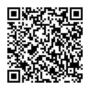 申込QRコード